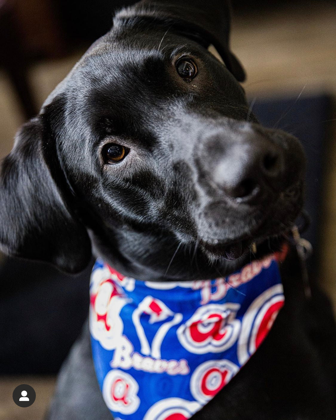 Atlanta Braves Bandana