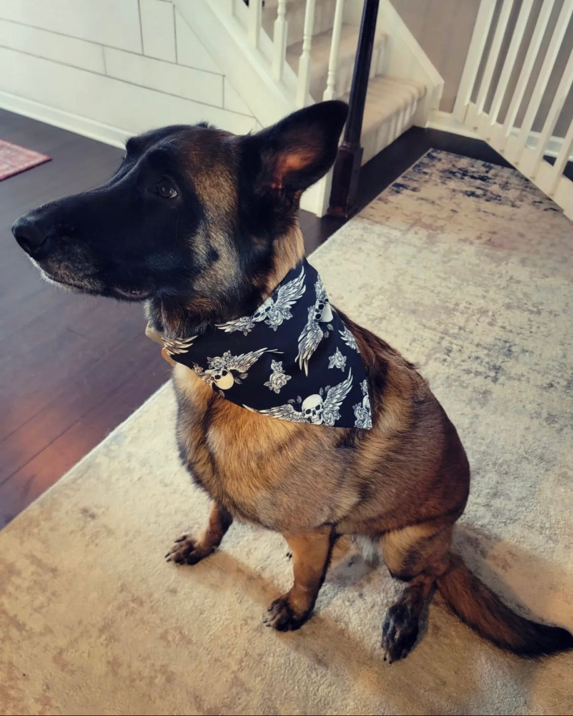 Winnie's Rocker Skulls Bandana