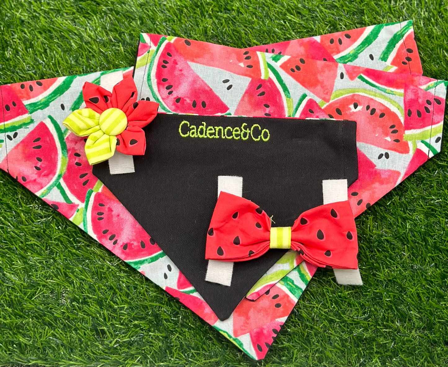 Wonderfully Wacky Watermelons Bowtie