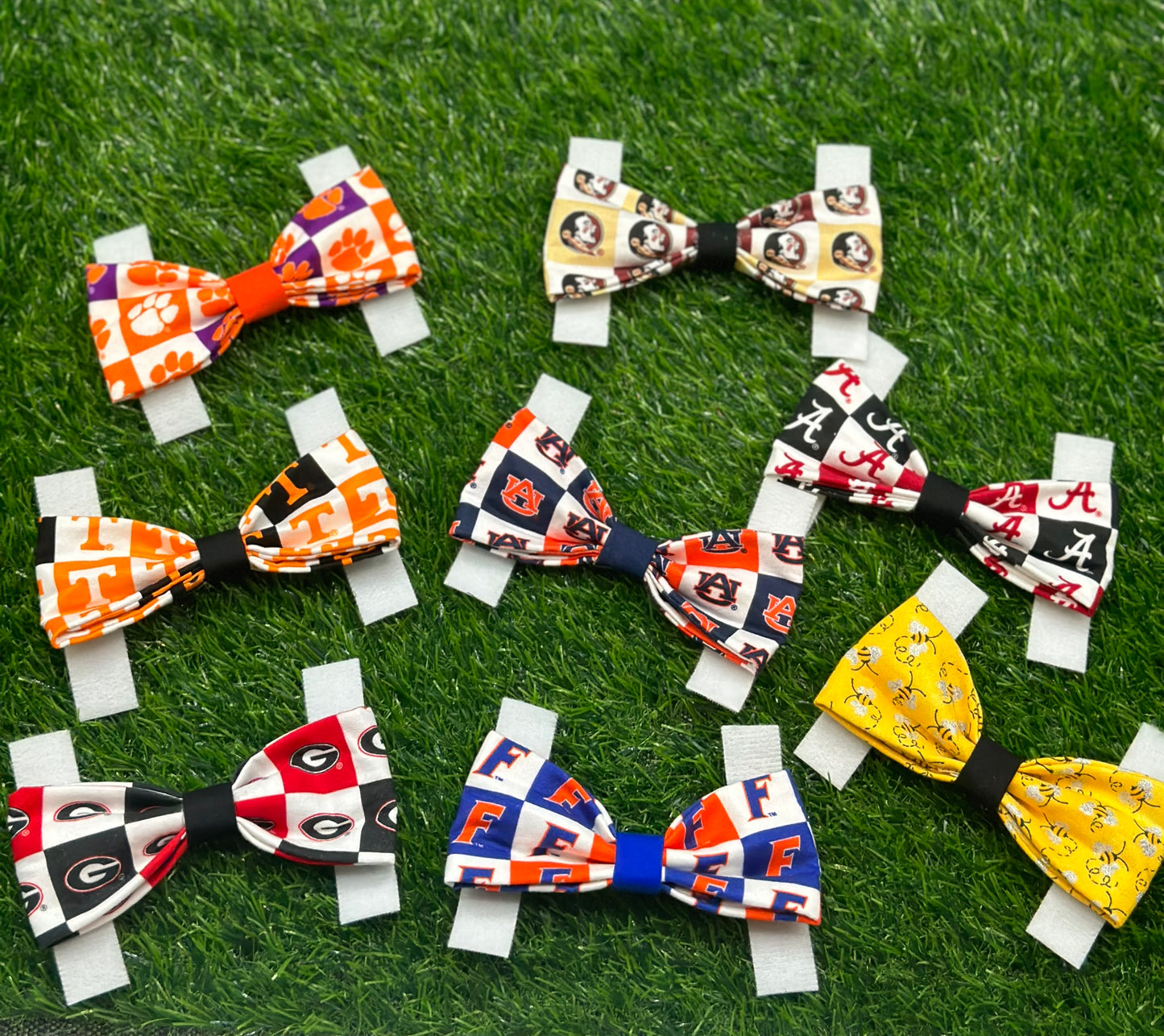 University of Florida Bowtie