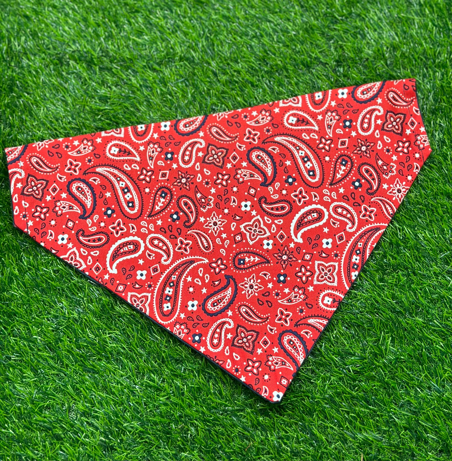 The Paisley Bandana