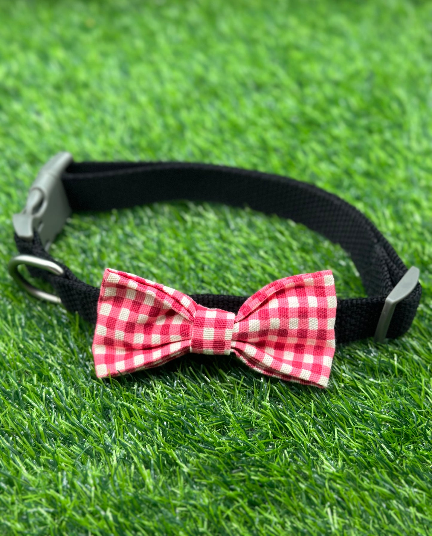 Picnic Blanket Bowtie