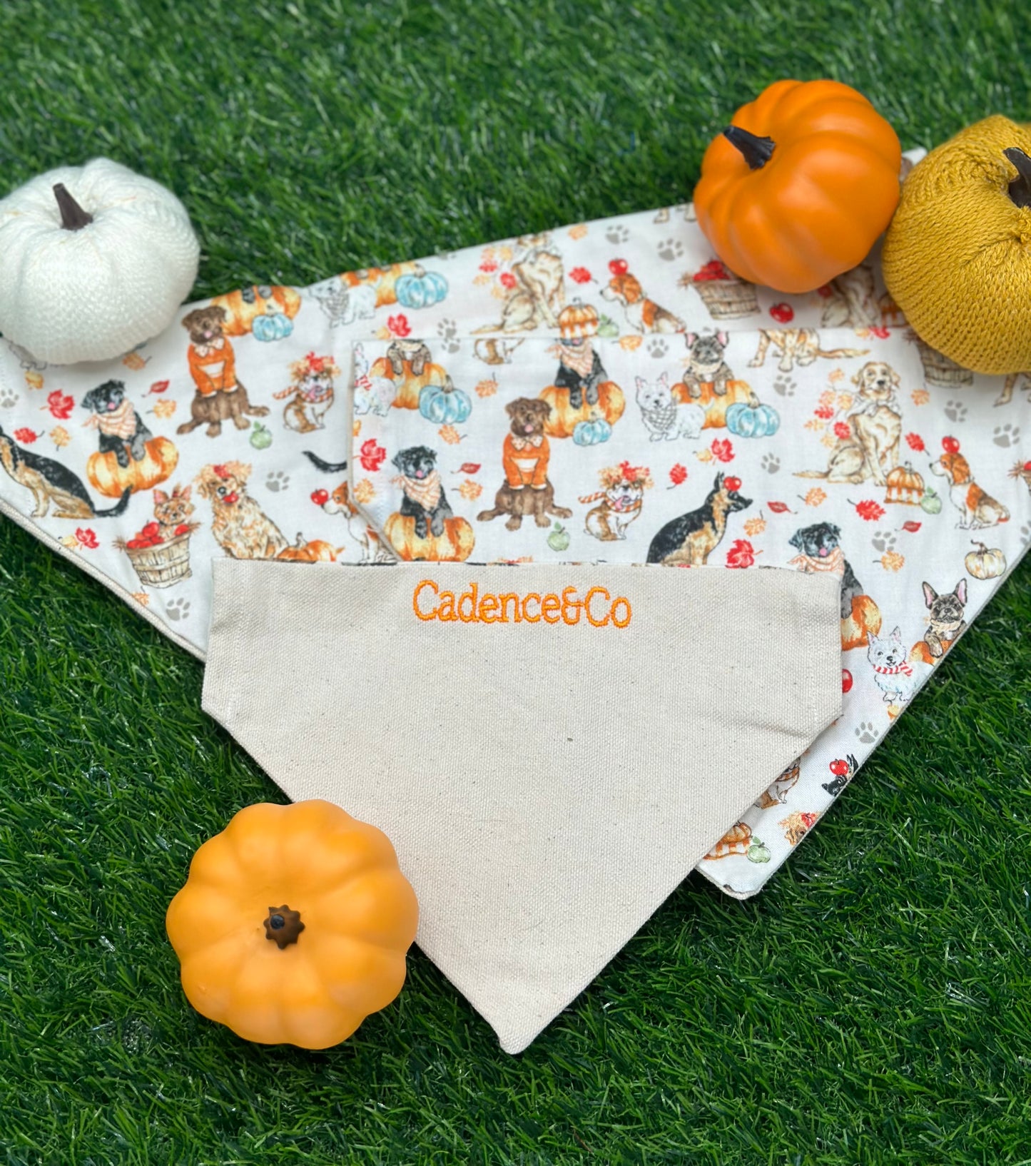 Fall Dogs Bandana