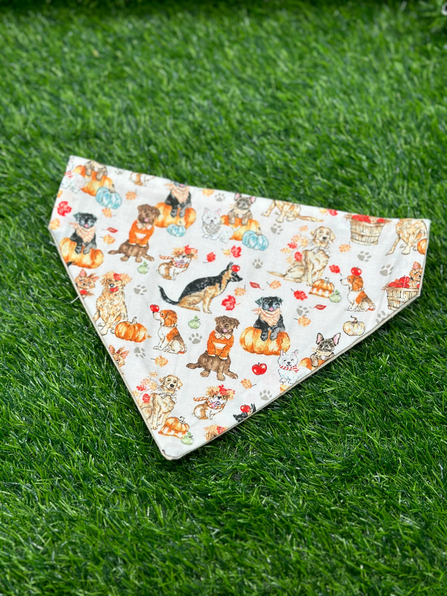 Fall Dogs Bandana