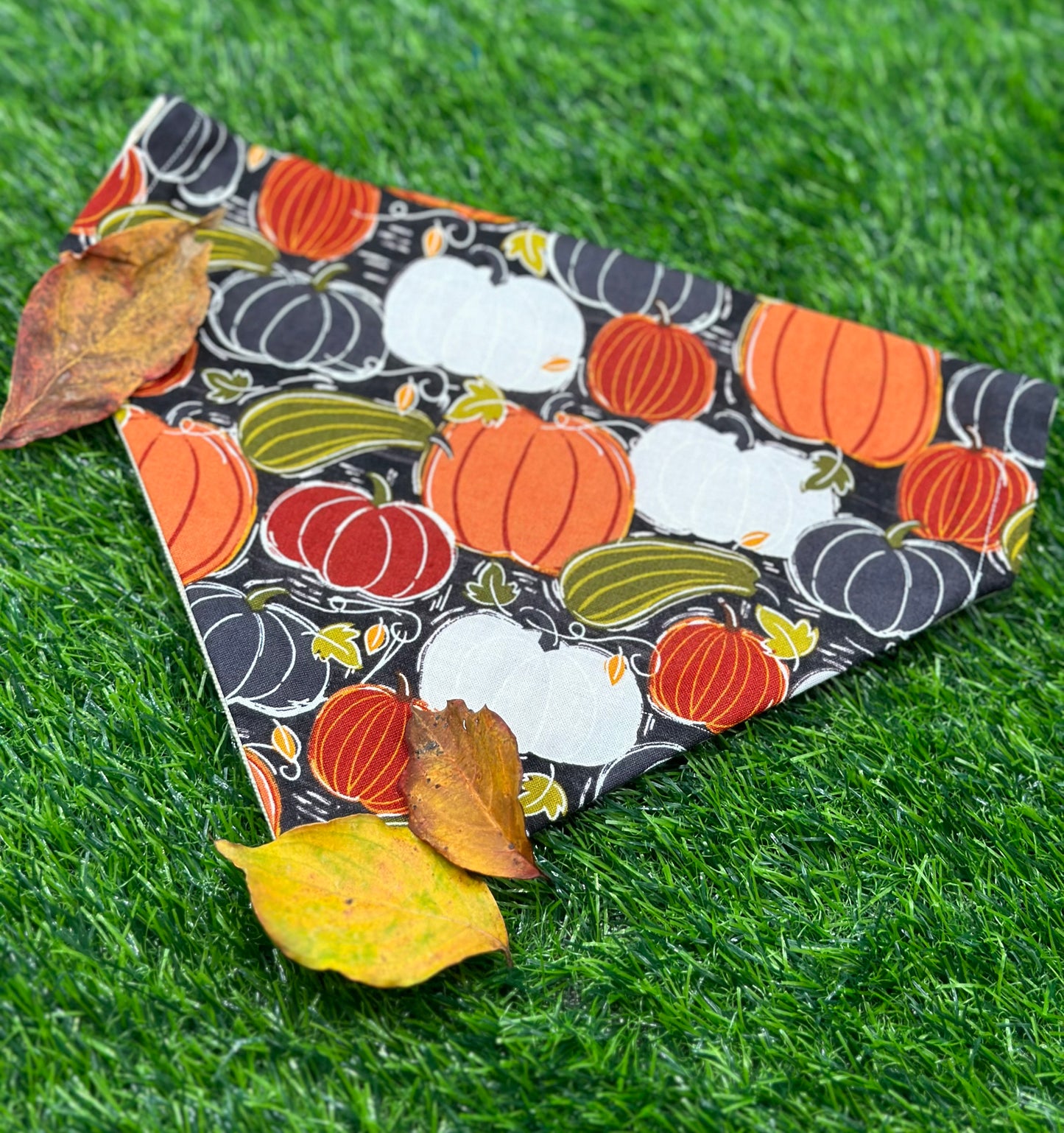 Pumpkin Patch Bandana