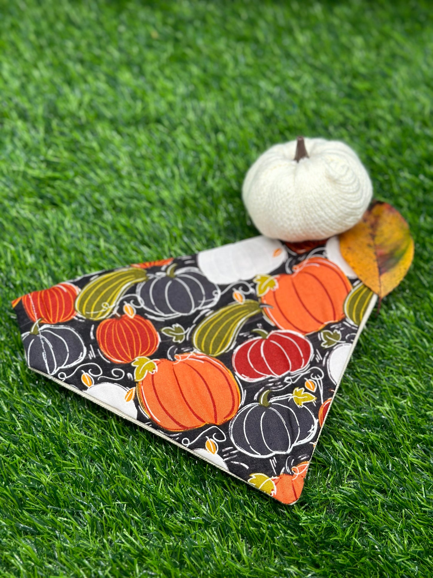 Pumpkin Patch Bandana