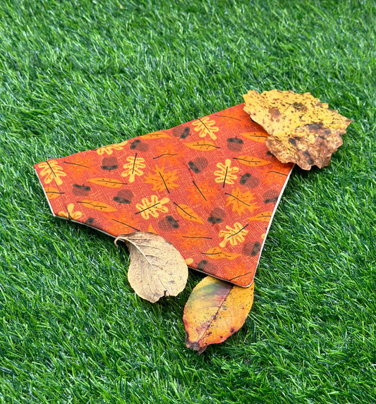 Falling Leaves Bandana