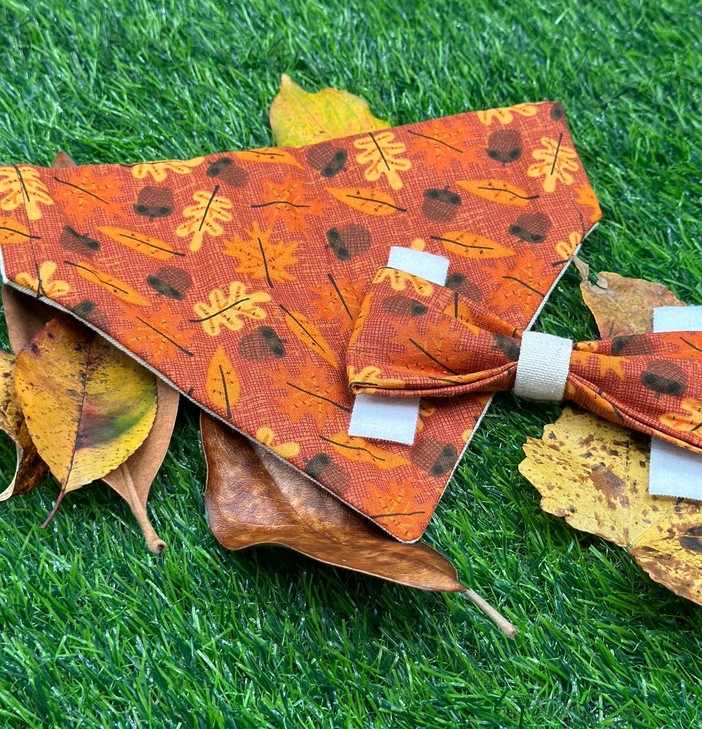 Falling Leaves Bandana