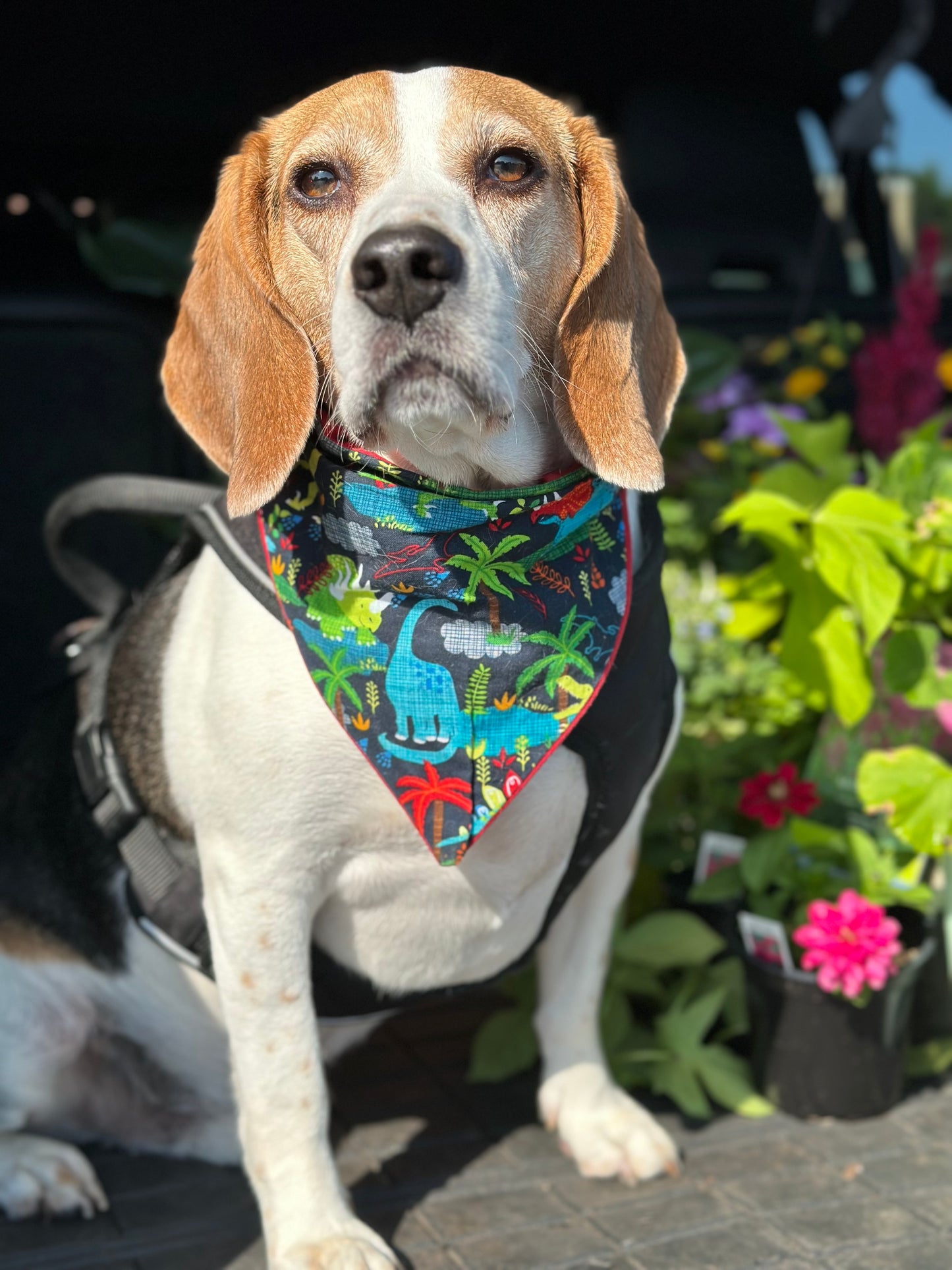 Bandan-aurus Dino Bandana