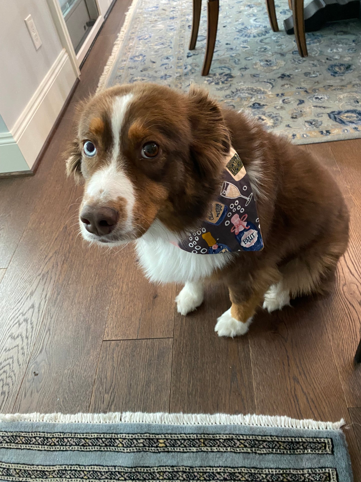 Tipsy's Bubbly Bottles Bandana