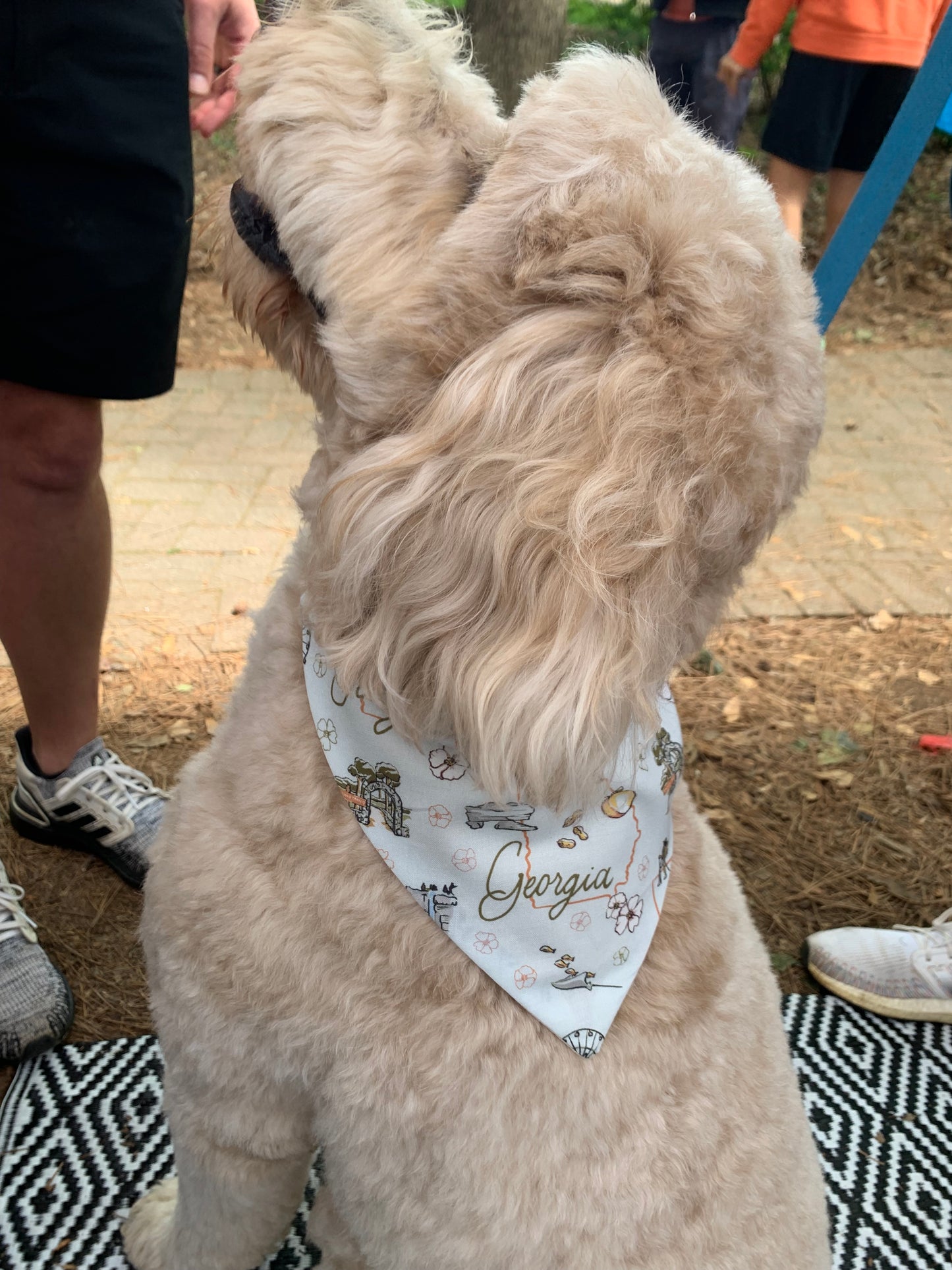 State of Georgia Bandana