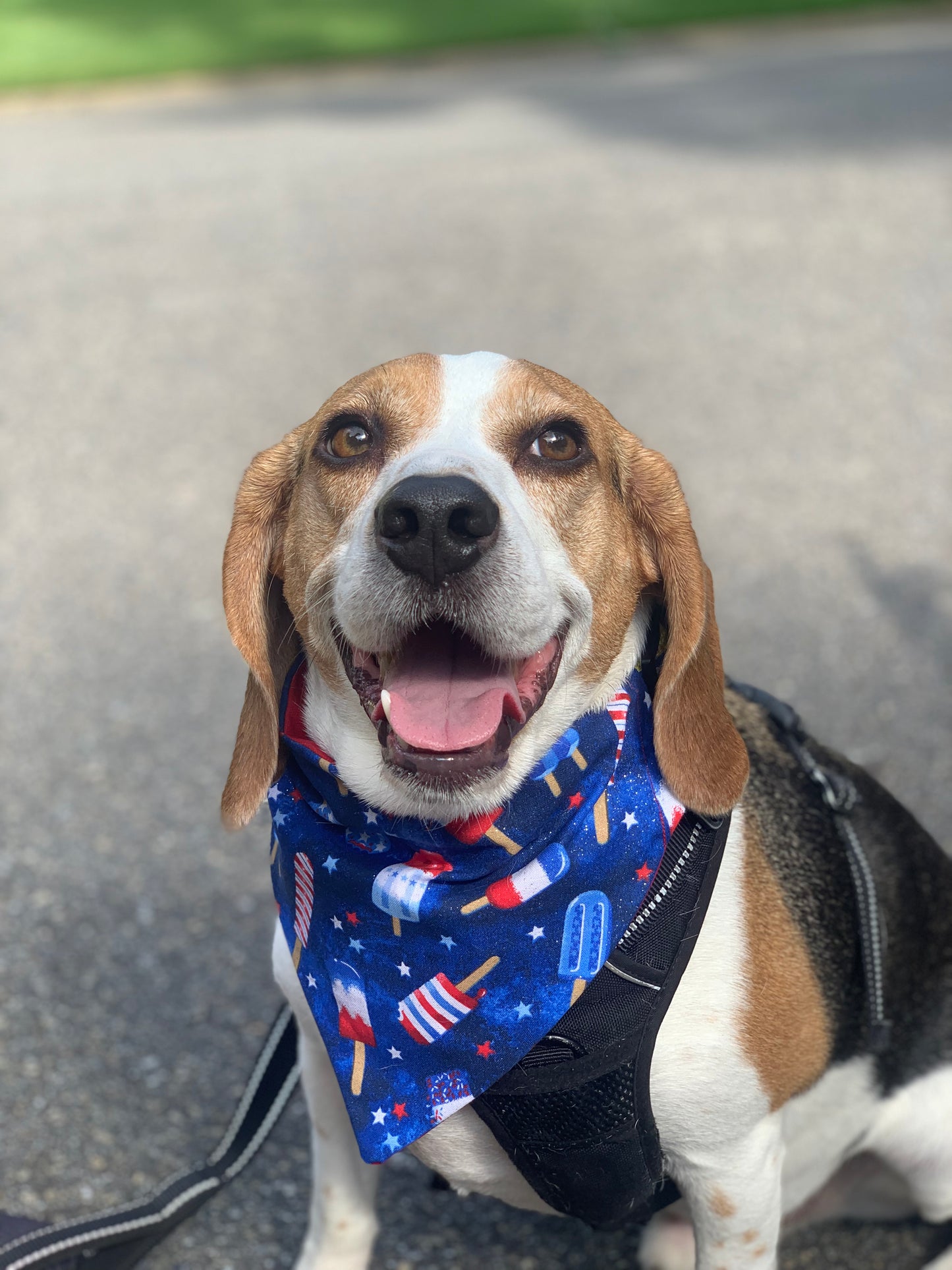 Rocket Pops Fourth of July Bandana