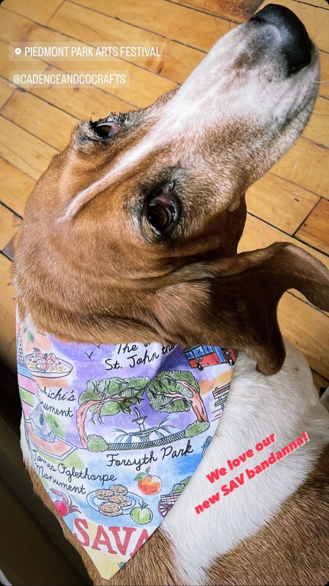 Savannah Bandana