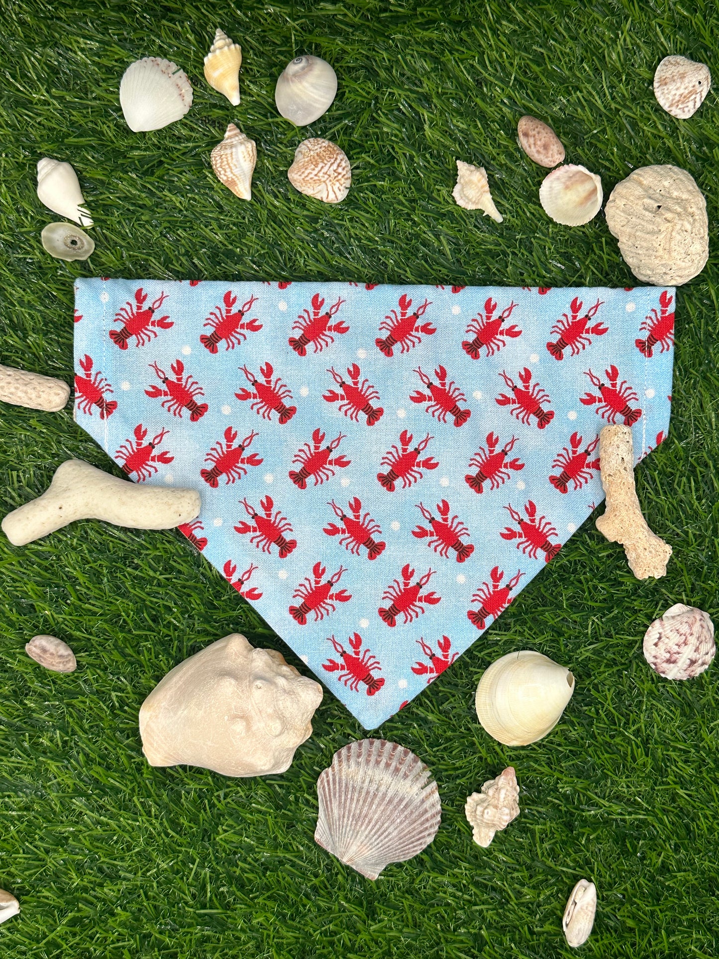 Lobster Party Bandana