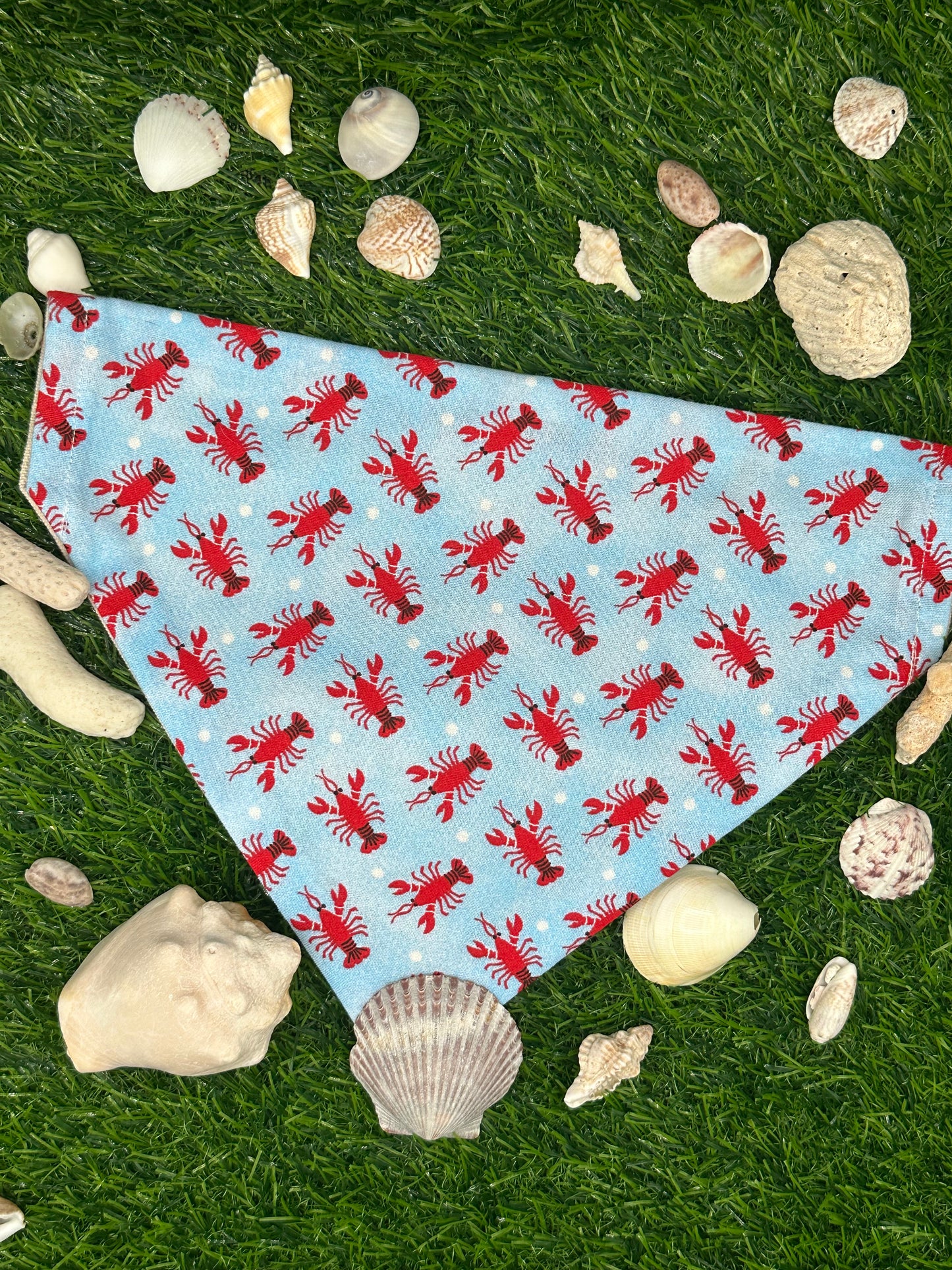 Lobster Party Bandana