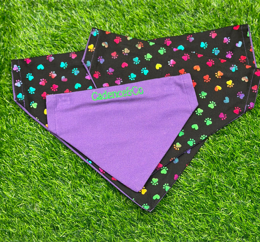 Pride Paws Bandana