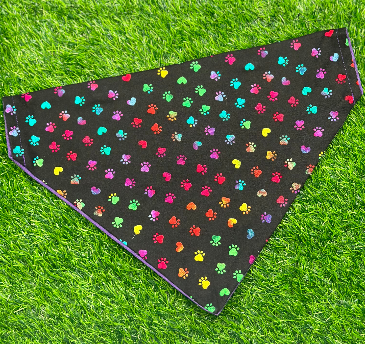 Pride Paws Bandana