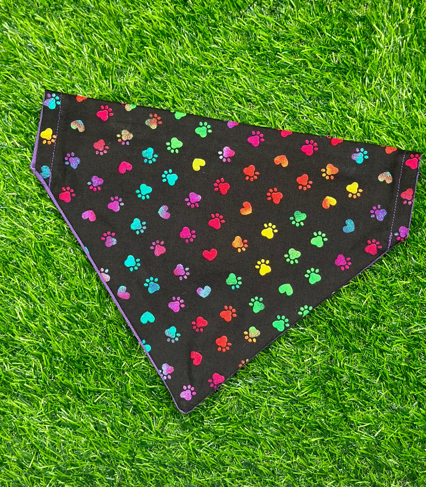 Pride Paws Bandana