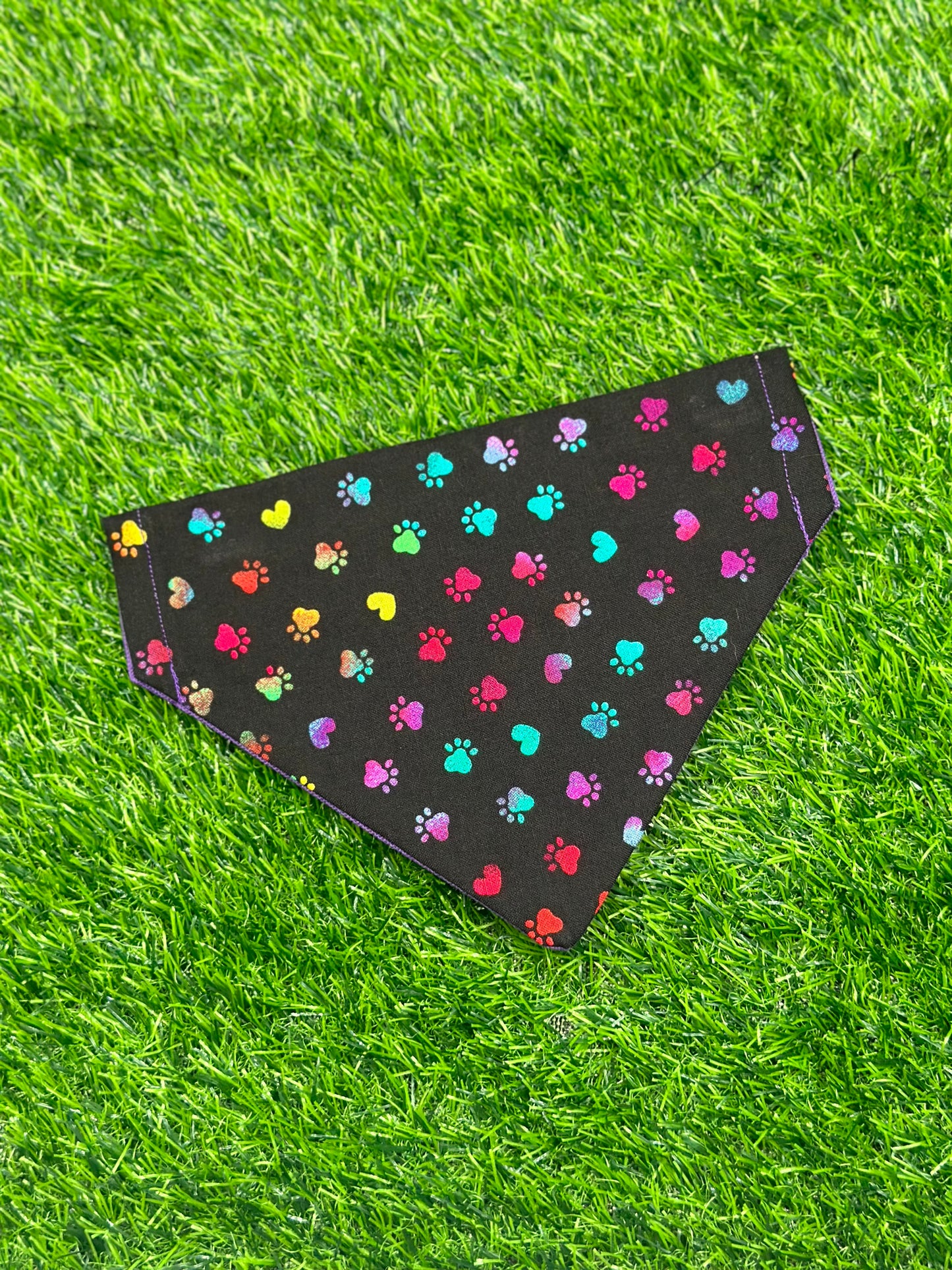 Pride Paws Bandana