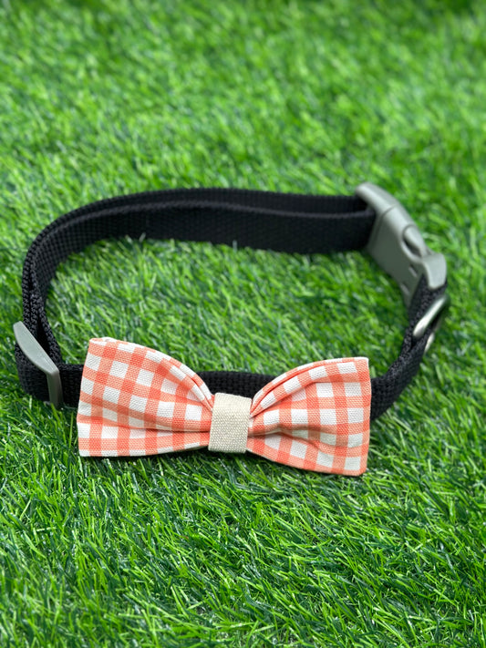 Georgia Peach Check Bowtie