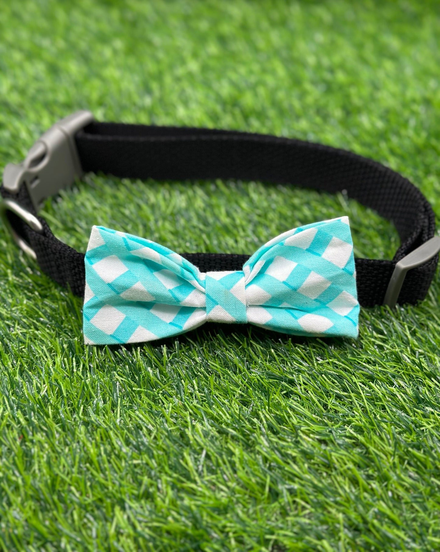 Robin's Egg Blue Bowtie