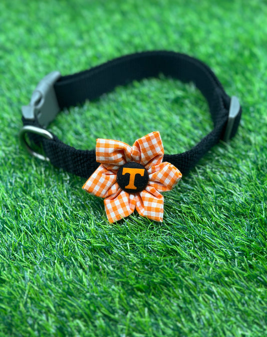 University of Tennessee Flower