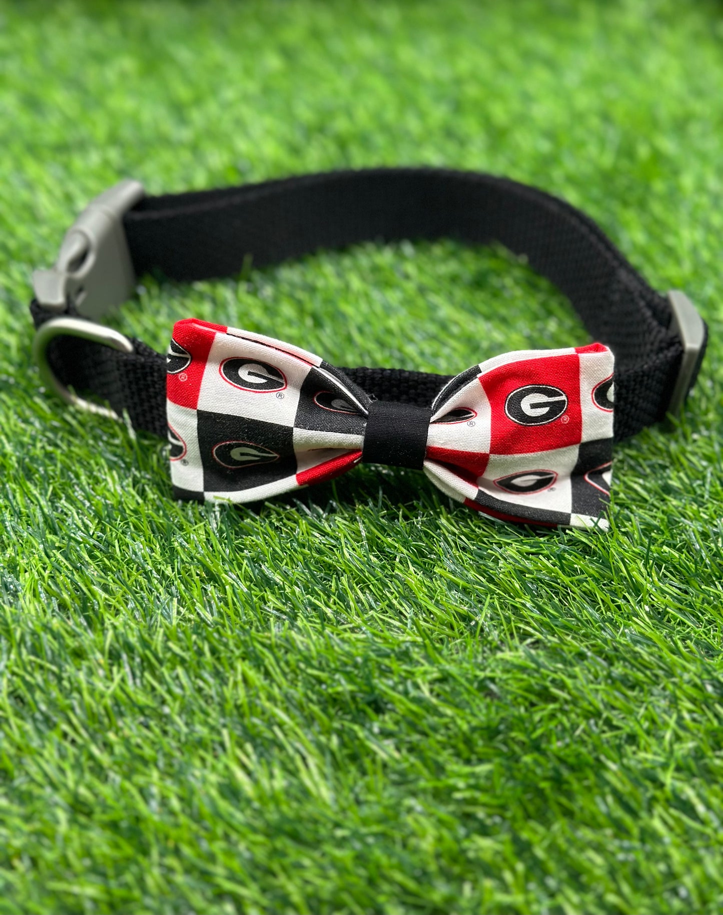 University of Georgia Bowtie