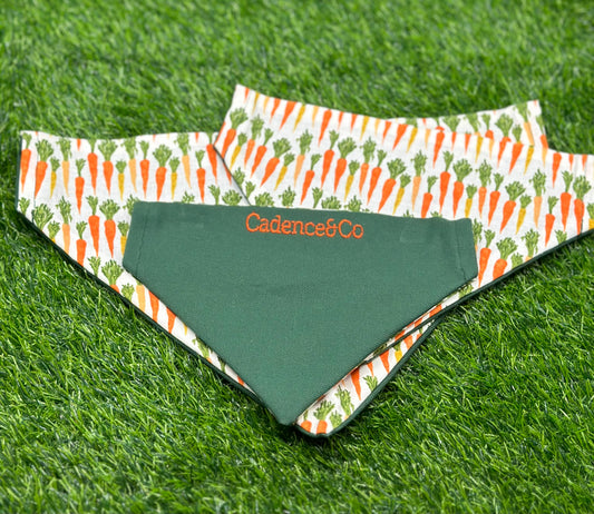 Spring Easter Carrots Bandana