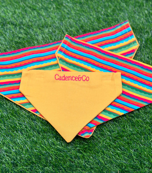 Cinco Party Stripes Bandana