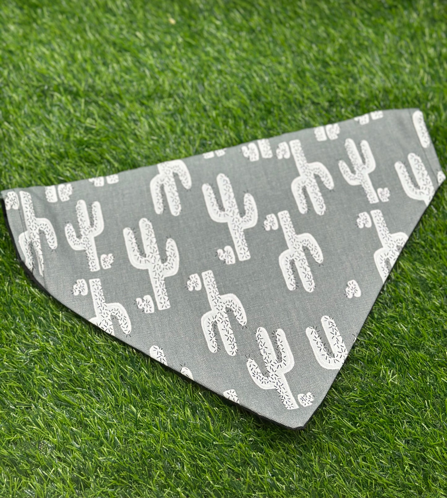 Crazy Cute Cactus Bandana