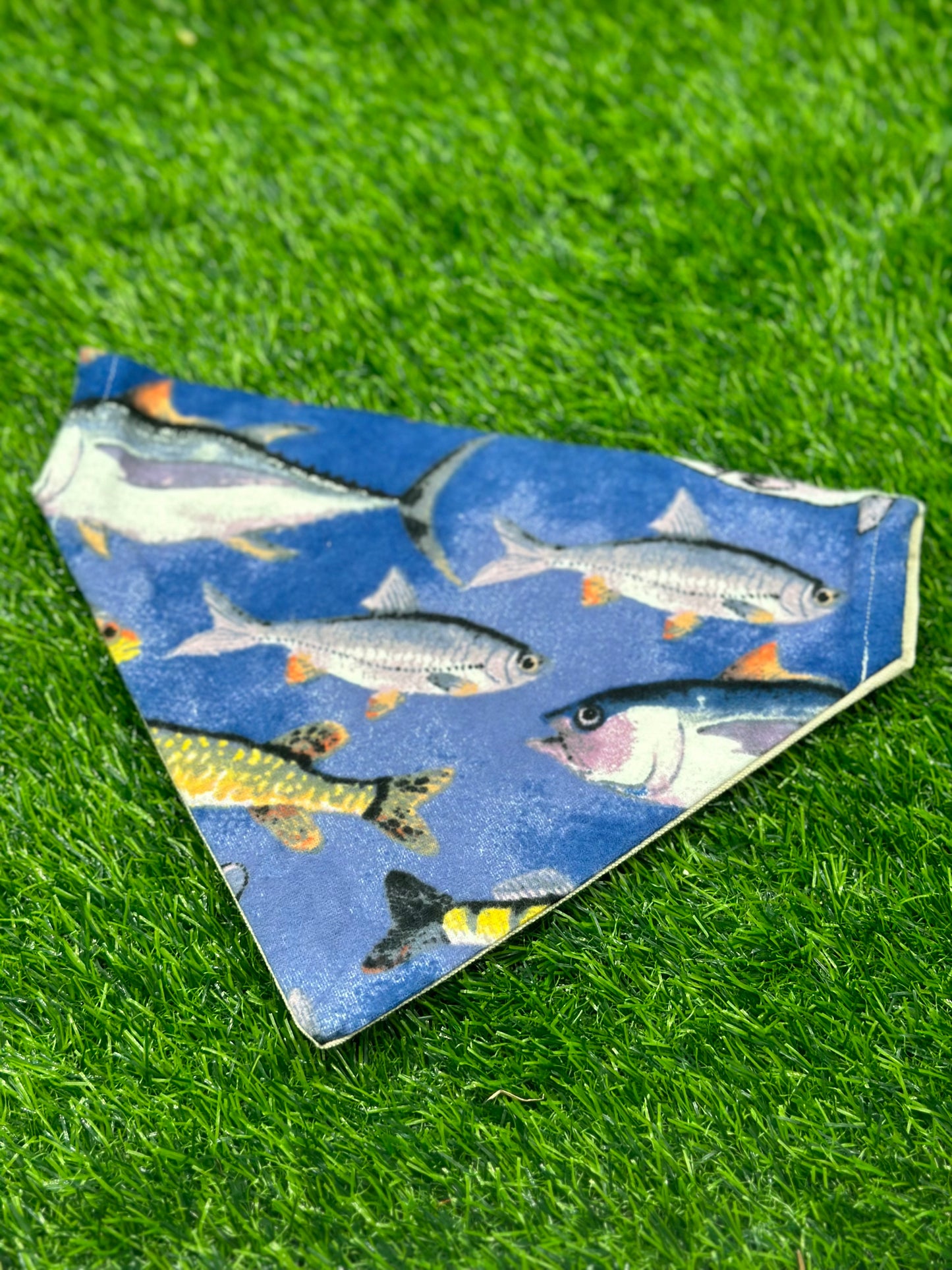 Something Smells Fishy Bandana