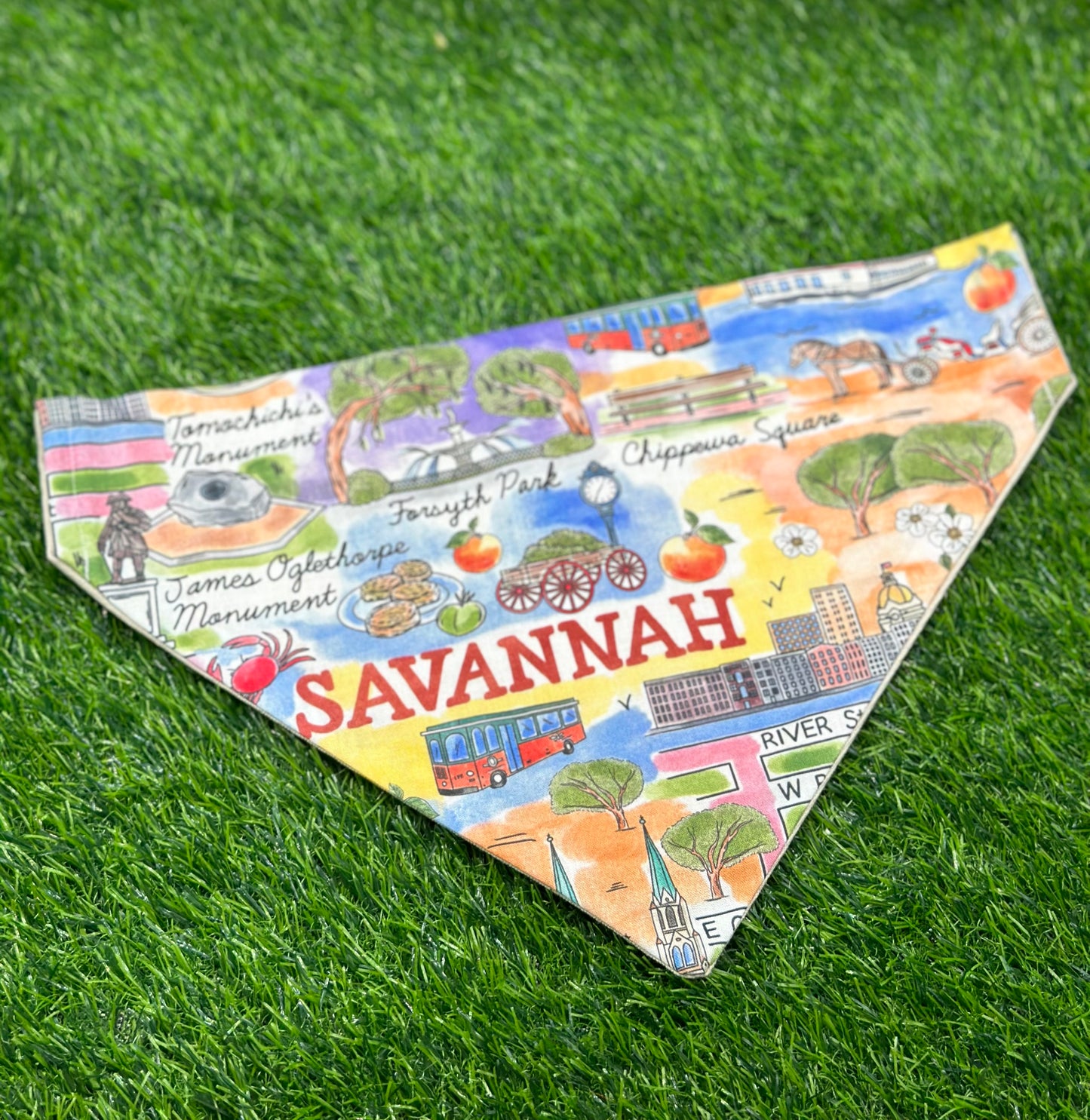 Savannah Bandana