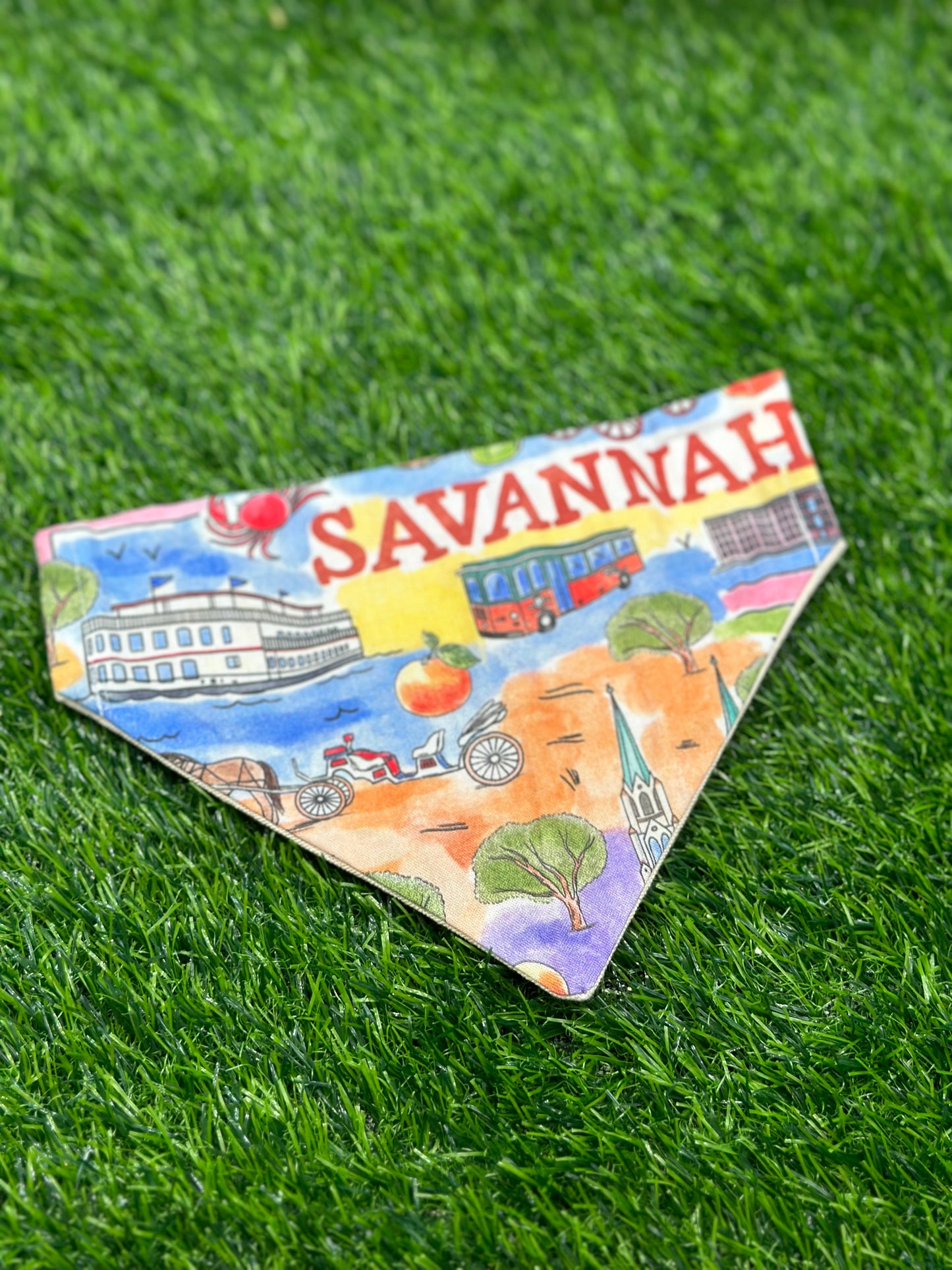 Savannah Bandana