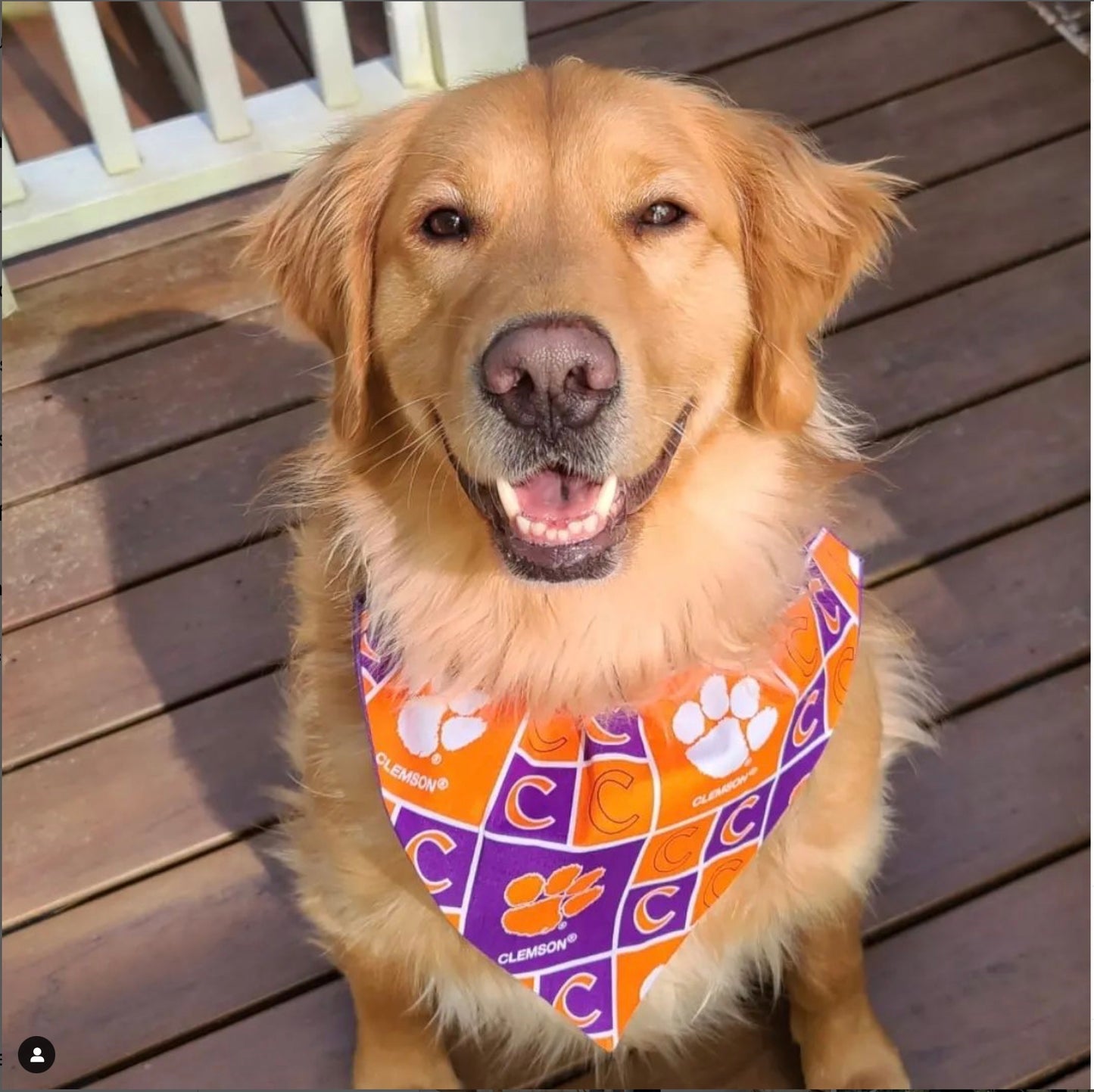 Clemson University Bandana